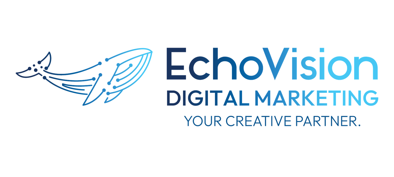 EchoVision