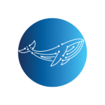contact-us