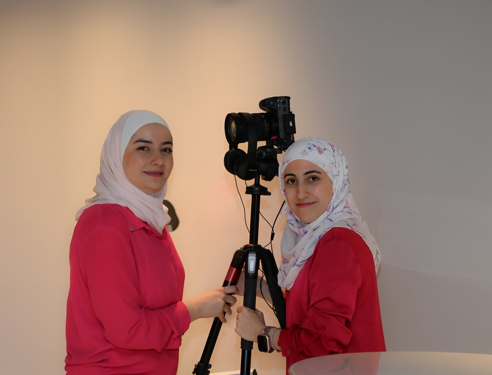 alaa dina